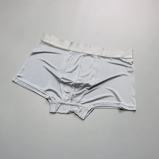 1 PC 100% Pure Silk Soft Men Underwear Boxer Size L XL 2XL 3XL SG104 - BeautiMass